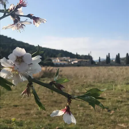 Holiday home Masia Sencies