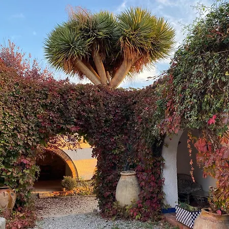 Masia Sencies Holiday home Sitges