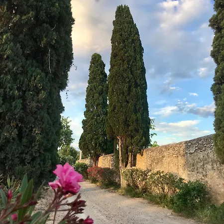 Дом отдыха Masia Sencies Сиджес