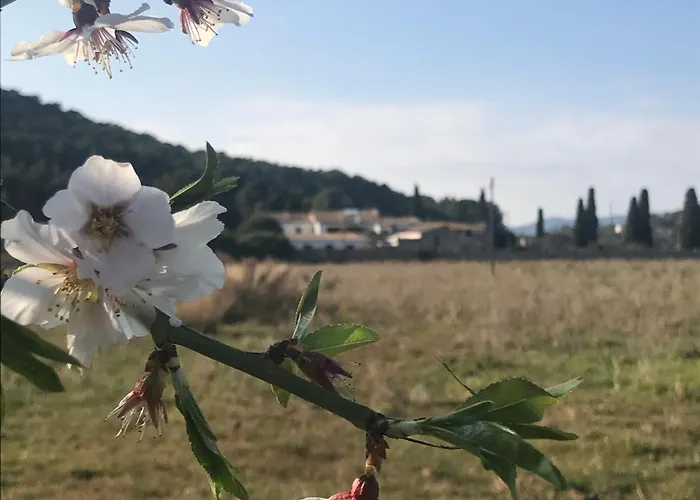 Будинок відпочинку Masia Sencies