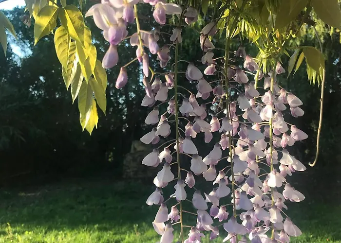 Masia Sencies Semesterbostad Sitges