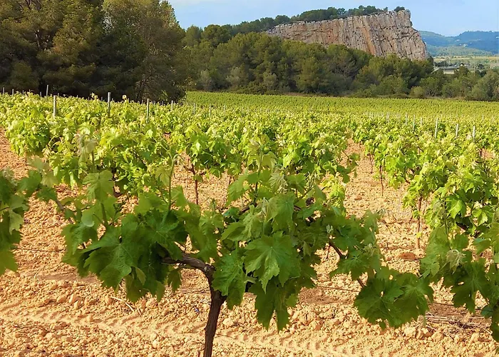 Masia Sencies * Сіджас